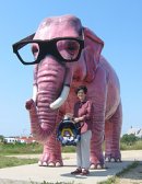 Marketing gone wrong? The Pink Elephant